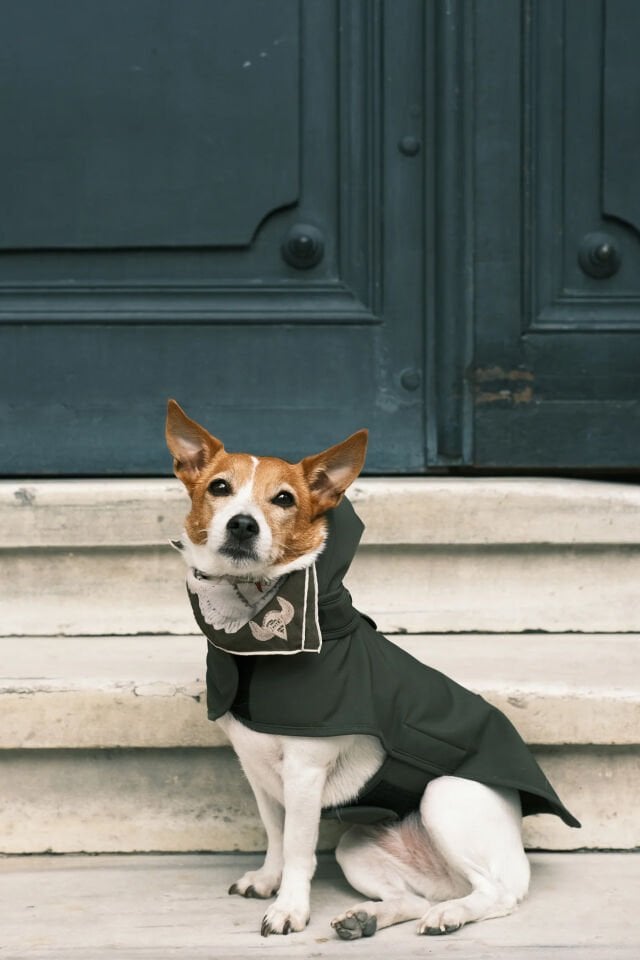 Pluvio Yağmurluk Olive - Large