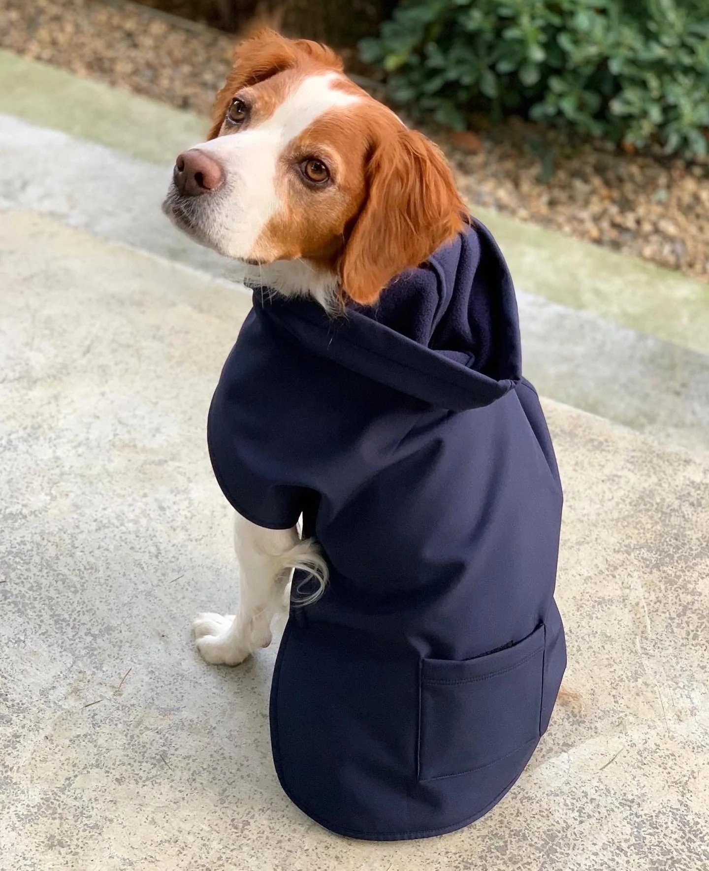 Pluvio Yağmurluk Navy - X Large