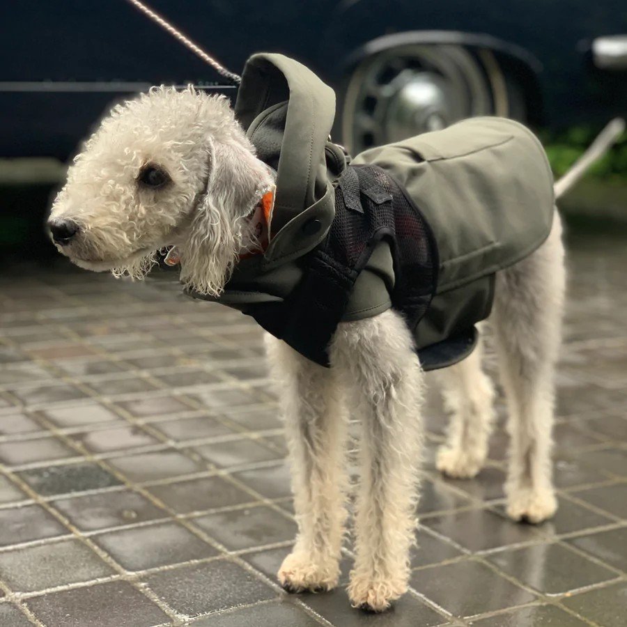 Pluvio Yağmurluk Olive - Large