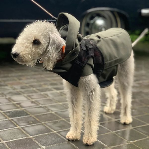 Pluvio Yağmurluk Olive - Small