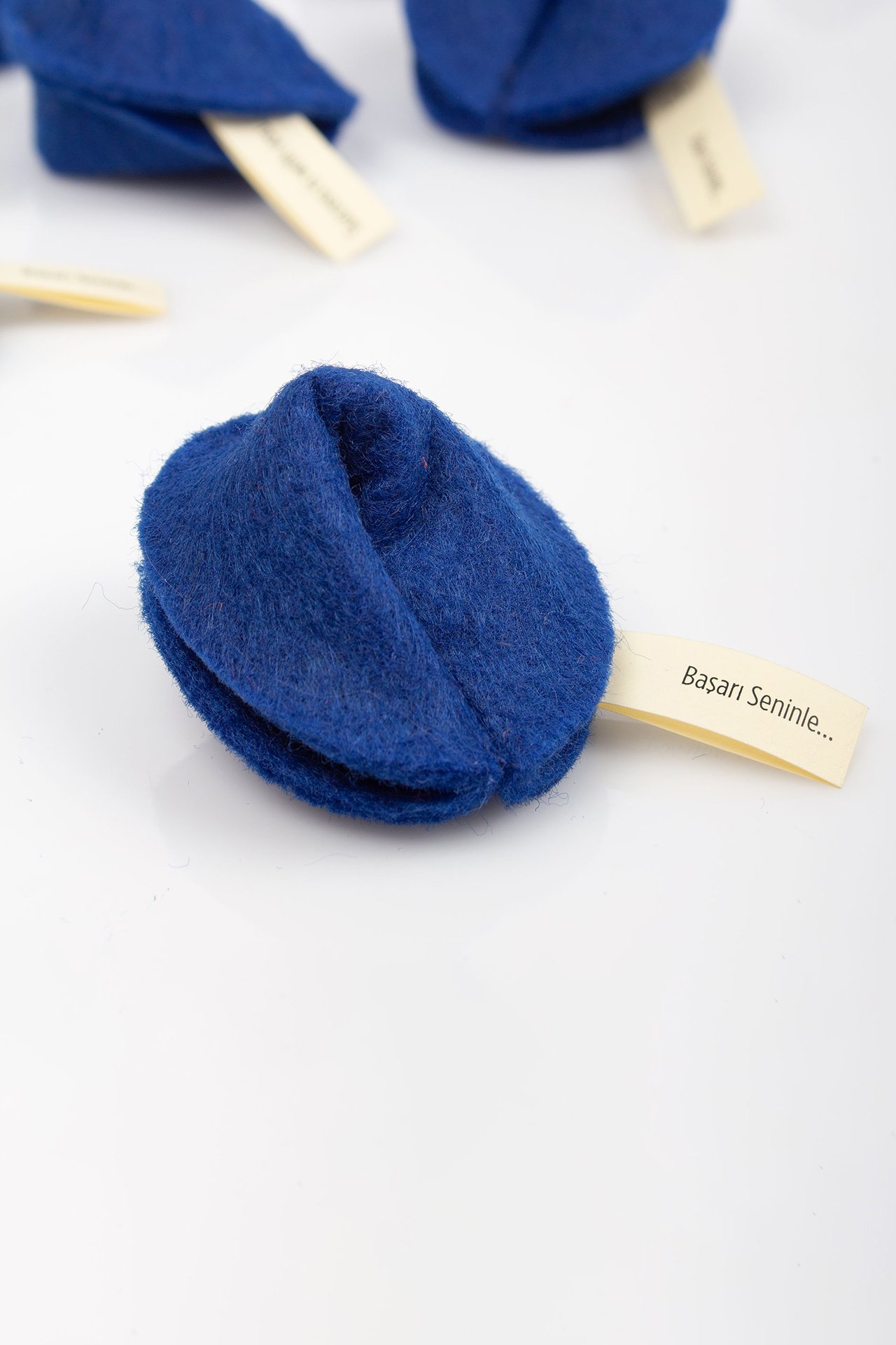 Keçe Dilek Kurabiyesi / Başarı