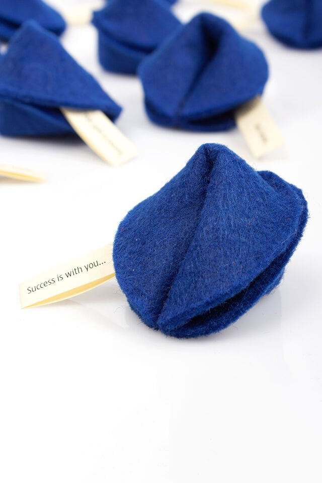 Keçe Dilek Kurabiyesi / Başarı