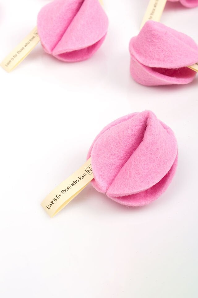 Keçe Dilek Kurabiyesi / Sevgi