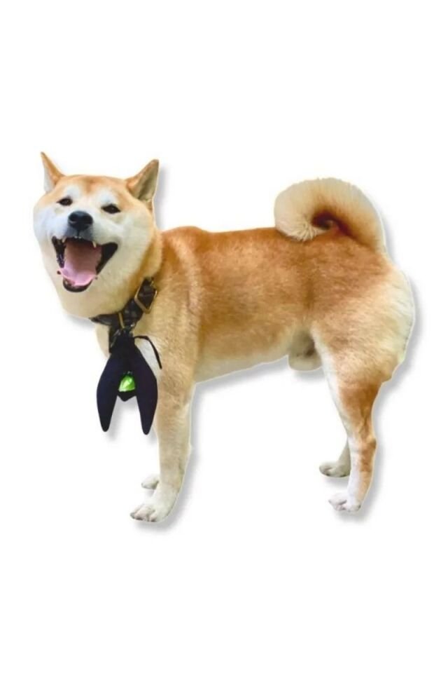 Fly Torba Taşıyıcı