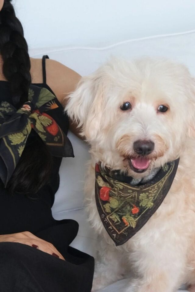 Berry BFF Bandana - Pet + İnsan Aksesuarı