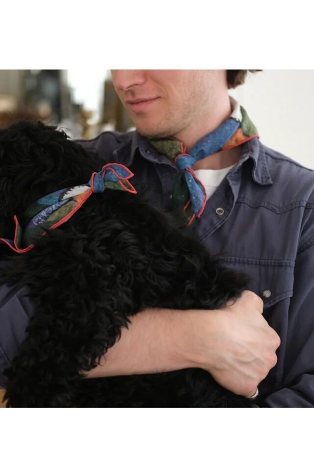 Party Bandana - Pet + İnsan Aksesuarı