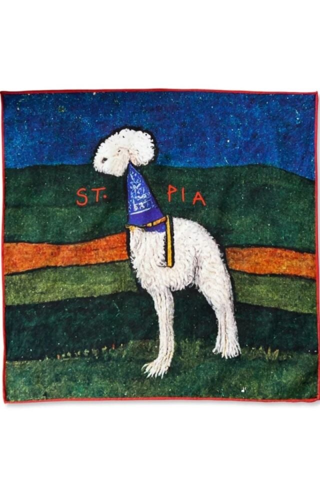 Party Bandana - Pet + İnsan Aksesuarı