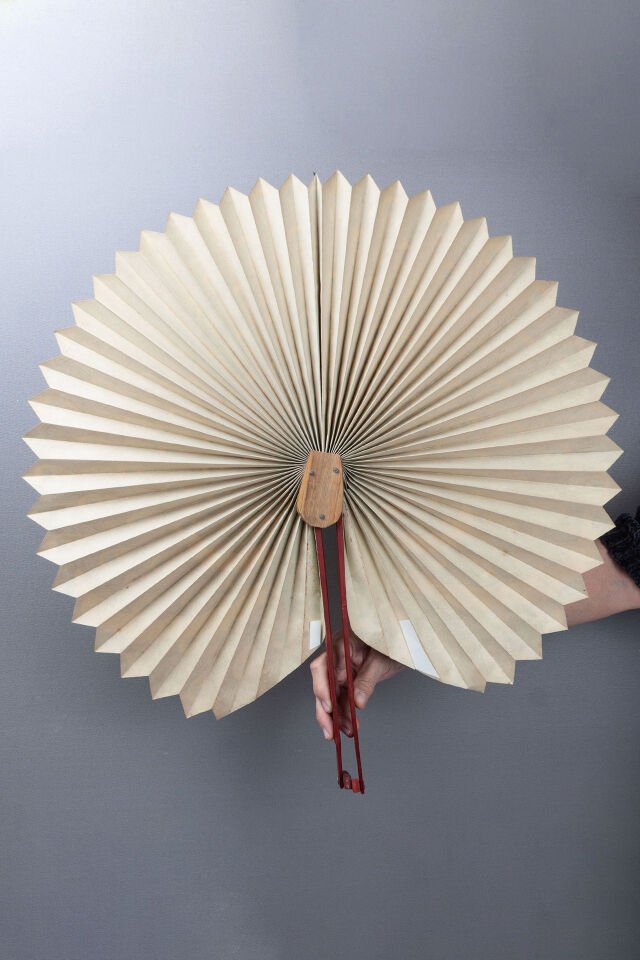 Tavus Kuşu Dev Yelpaze