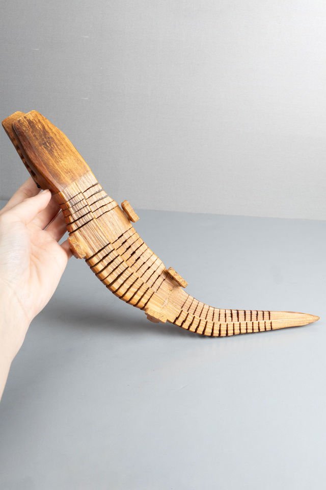 Mafsallı Küçük Timsah