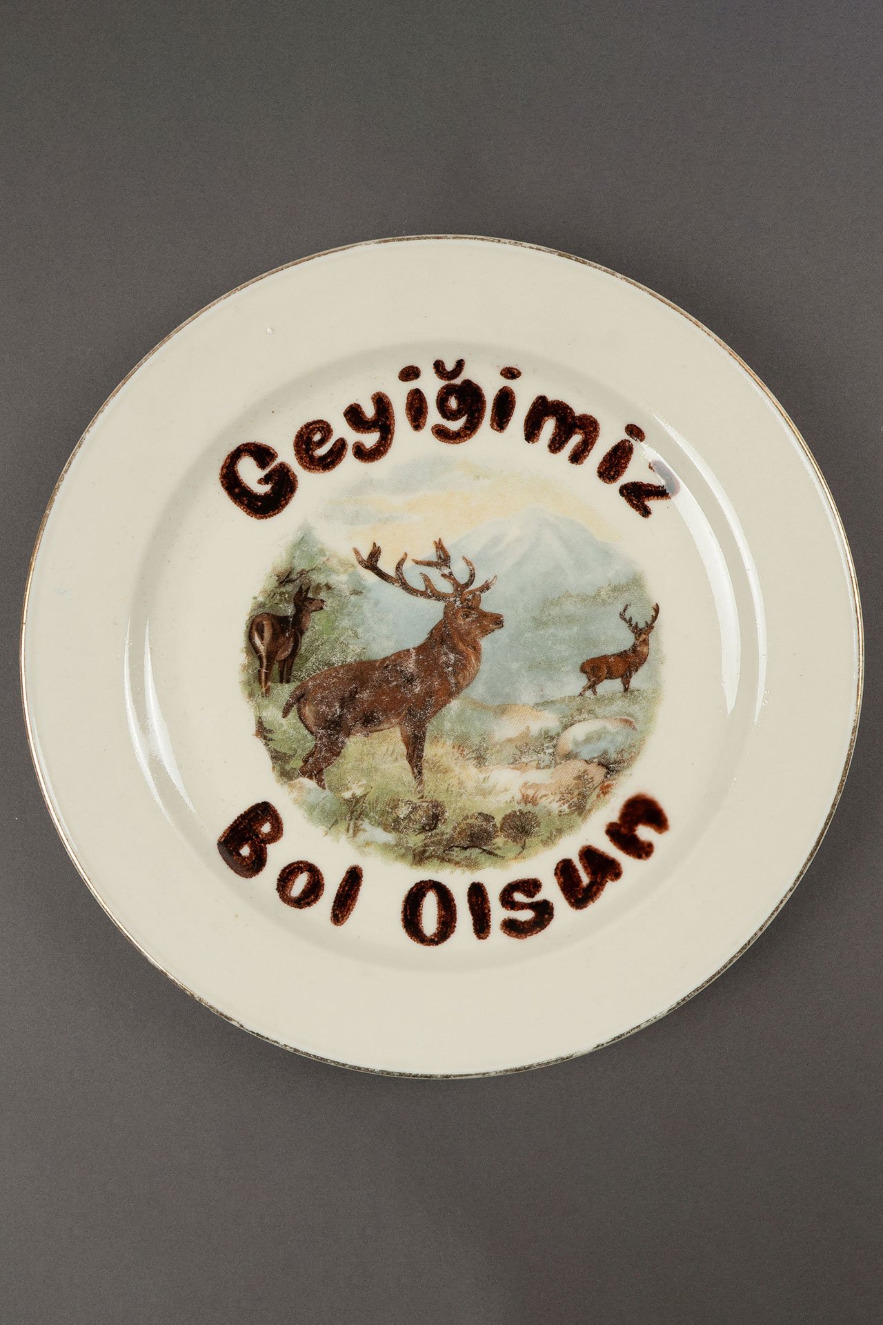 Geyiğimiz Bol...