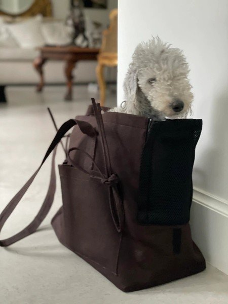 Marsu Tote Bag Deep Brown