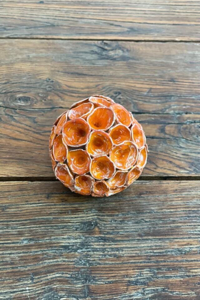 Cup Coral Turuncu