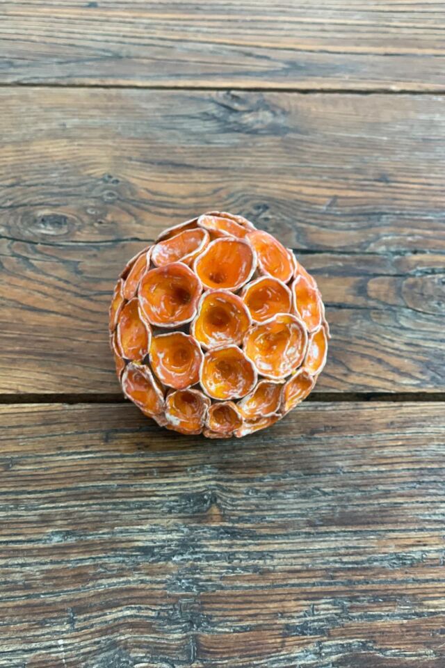 Cup Coral Turuncu