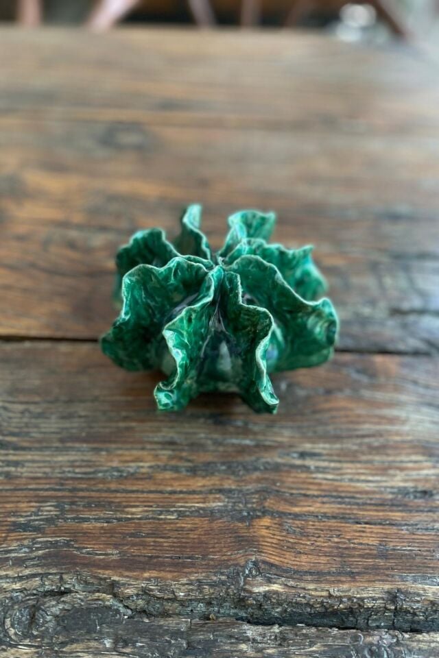 Lettuce Coral
