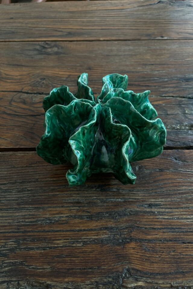 Lettuce Coral